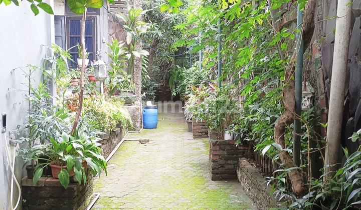 Rumah Asri, Tenang, di Pusat Jakarta