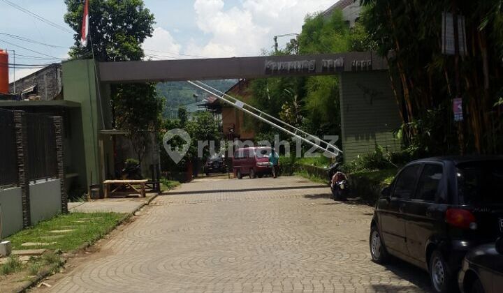 Tanah Matang di Dalam Cluster Sayap Dago  1