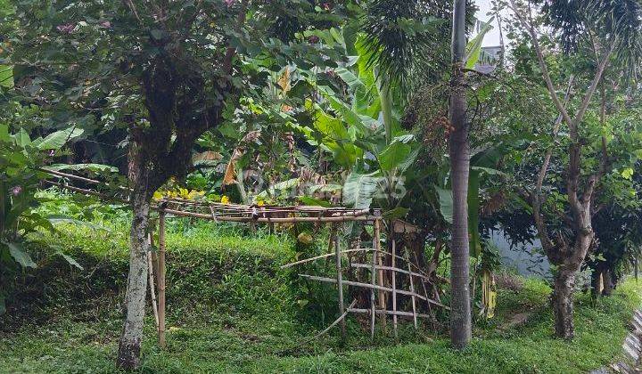 Tanah Matang Siap Bangun Komplek Istana Regency Pasteur 1