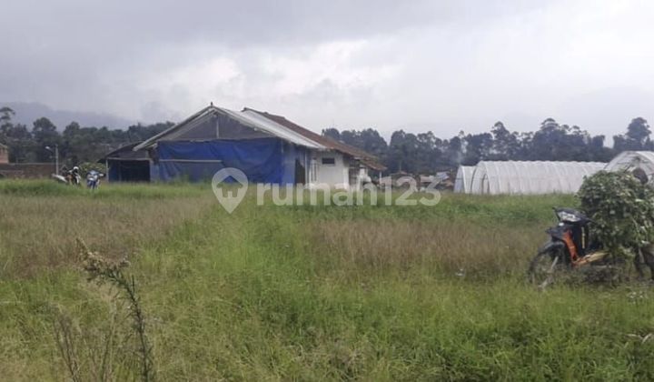 Tanah Strategis Dekat Dengan Alun Alun Ciwidey Bandyng Tanah Strategis Dekat Dengan Alun Alun Ciwidey Bandyng