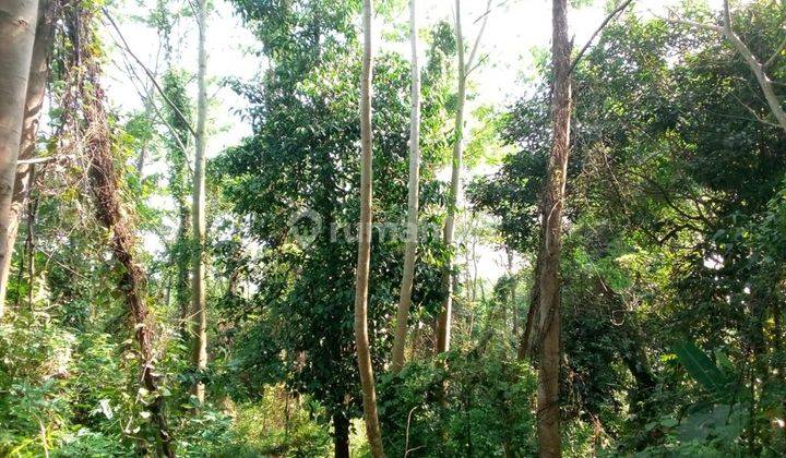 Kaveling Perkebunan Siap Bangun,lokasi di Jalan Cinangka, Anyar,serang 5
