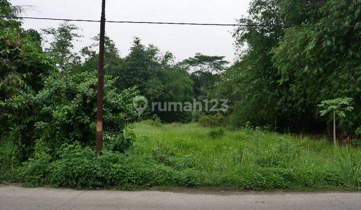 Tanah Perkebunan Siap Bangun, Tenggara, di Jalan Pematang, Tigaraksa 1