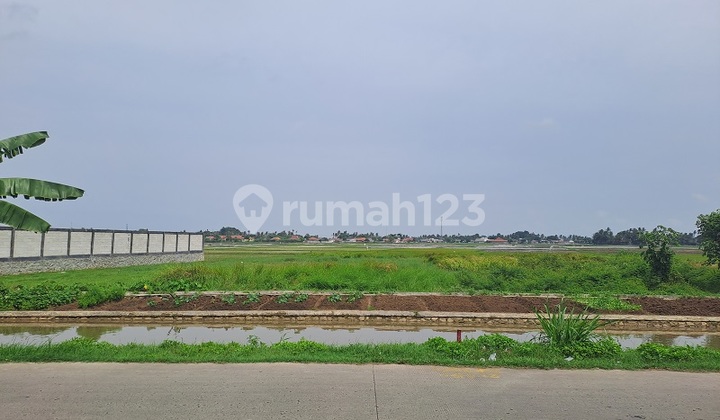 Kavling Siap Bangun, Boulevard, Selatan, di Jalan Jati Tanjakan, Mauk Kavling Siap Bangun, Boulevard, Selatan, di Jalan Jati Tanjakan, Mauk