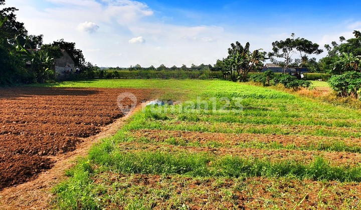 For Sale: Flood-Free Highway-Side Plot on Jalan Pasar Babelan, Bekasi.