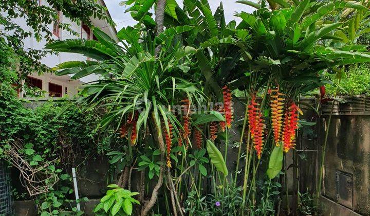 Rumah Bagus di Delman Raya, Jakarta Selatan 2