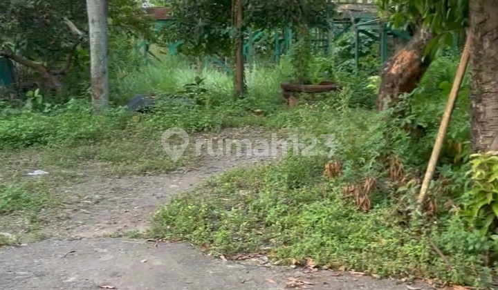 For Sale Price Reduced Commercial Land Transyogi Near Hermina Mekarsari