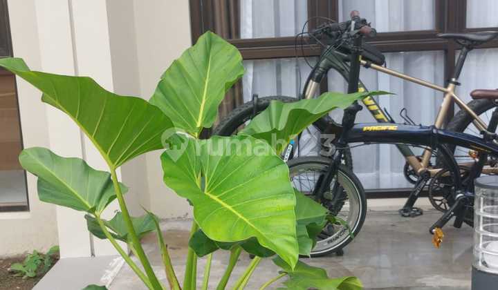 Dijual Rumah Minimalis di Cluster Area Antapani Bandung Ujg Dijual Rumah Minimalis di Cluster Area Antapani Bandung Ujg