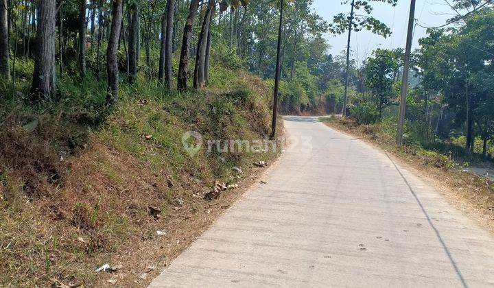 Dijual Tanah Kebun Di Ciparay Cocok Untuk Villa, Perumahan 1