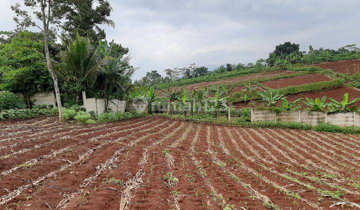 Dijual Tanah Di Cianjur 3,5 Hektar Cocok Untuk Lembaga Pendidikan 1