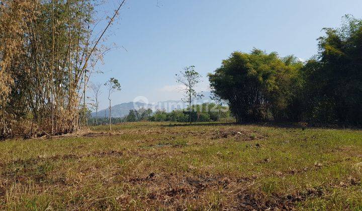 Dijual Tanah Kebun Cocok Untuk Perumahaan, Pergudangan Di Kadungora, Garut 1