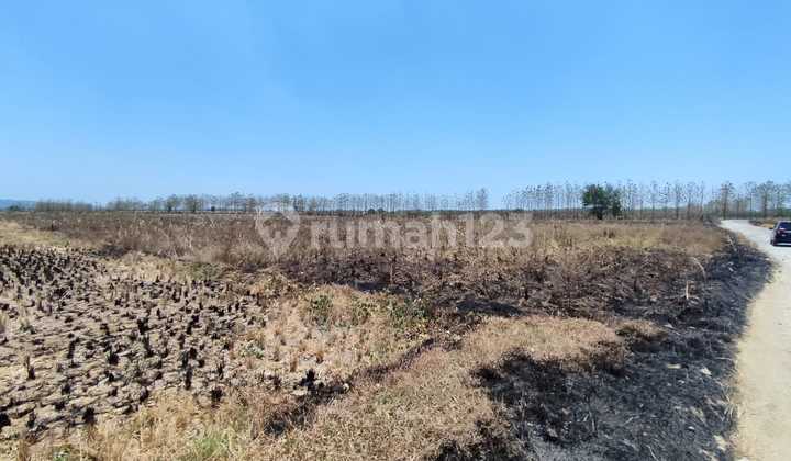Industrial Zone Land for Sale in Kertajati, Majalengka, West Java
