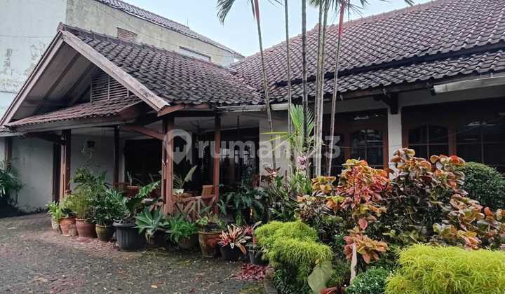 Old house sold cheap, land price only.