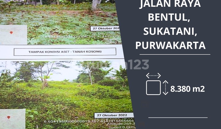 Dijual cepat tanah di raya bendul purwakarta jawa barat harga nego Dijual cepat tanah di raya bendul purwakarta jawa barat harga nego