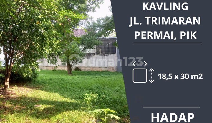 Dijual cepat tanah kavling di trimaran permai pantai indah kapuk