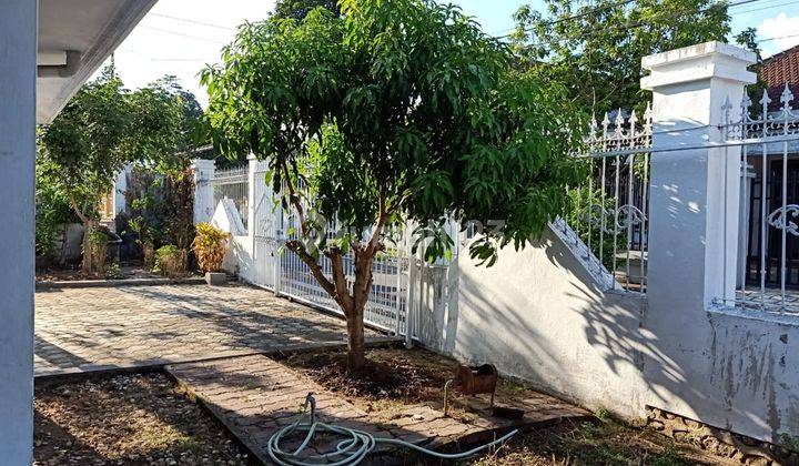 Dijual Rumah Krakatau Genteng Banyuwangi 2