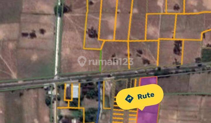 Dijual Lahan Raya Provinsi Blora Cepu 1