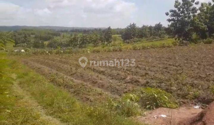 Dijual Lahan Raya Provinsi Blora 1