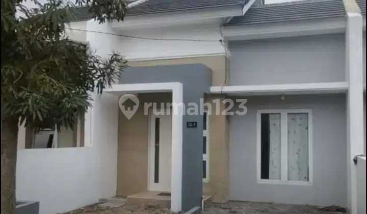 Disewakan Rumah Perumahan Swp Benowo Disewakan Rumah Perumahan Swp Benowo