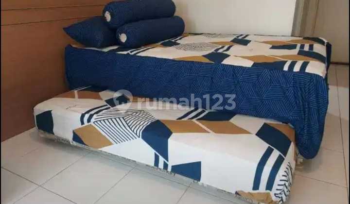 For Rent Berkeley Uc Citraland Apartment Surabaya