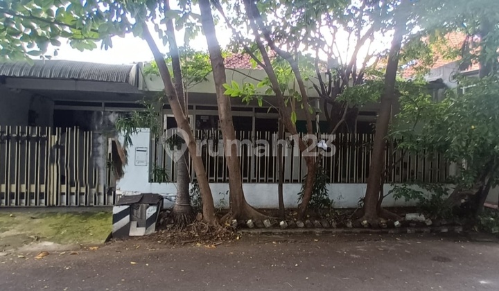 Disewakan Rumah Manyar Tirtomoyo 1