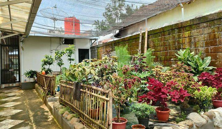 Dijual Rumah Jember Jawa Timur Jatim 1