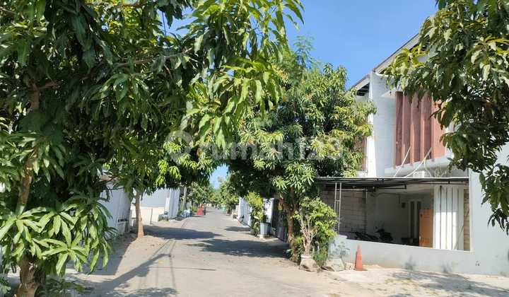 House for Sale via Auction Green Semanggi Mangrove