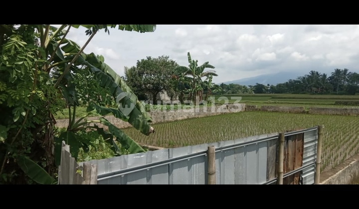 Tanah di Setianegara Cibeureum Kota Tasikmalaya Kp Warung Bandung