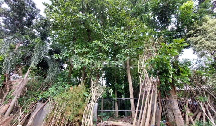 Dijual Kavling Dki Meruya Utara Kembangan 2