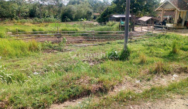 Dijual Sebidang Tanah Di Maja 1