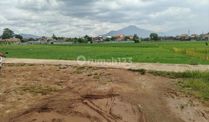 Tanah Kosong, Cocok Buat Kebun, Sawah Dibangun Sekolah, Cluster 1