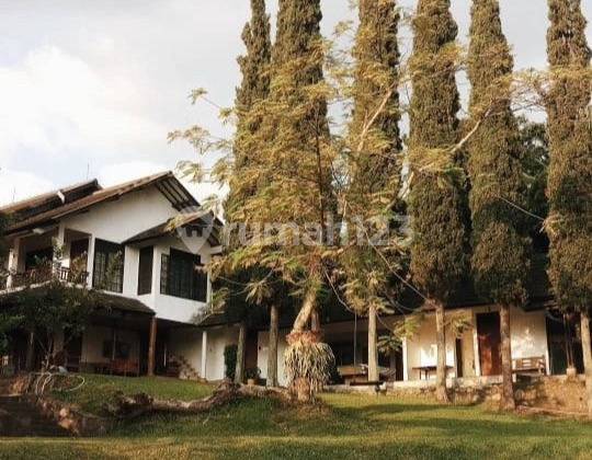 Villa Mewah Ciwaruga Terawat Strategis di Bandung Utara Villa Mewah Ciwaruga Terawat Strategis di Bandung Utara