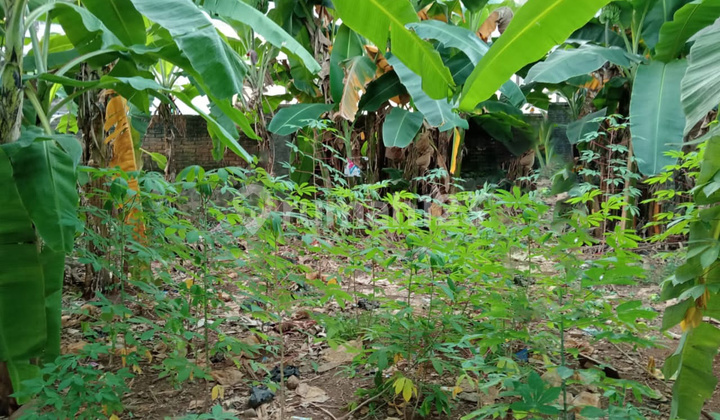 Ready-to-Build Plots and Strategic Location @Ciputat Ready-to-Build Plots and Strategic Location @Ciputat