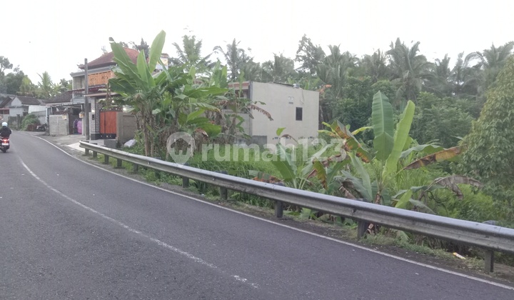 Tanah Penebel Di Jalan Utama Buruan Shm 1900 M² 1