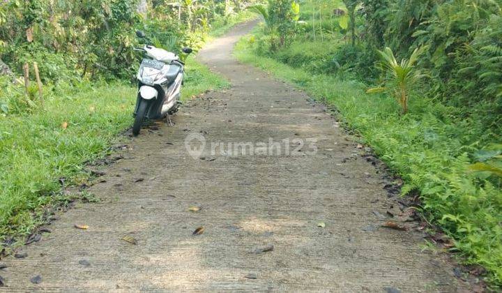 Cheap Land in Penebel Tabanan Near Jatiluwih Tourism 2