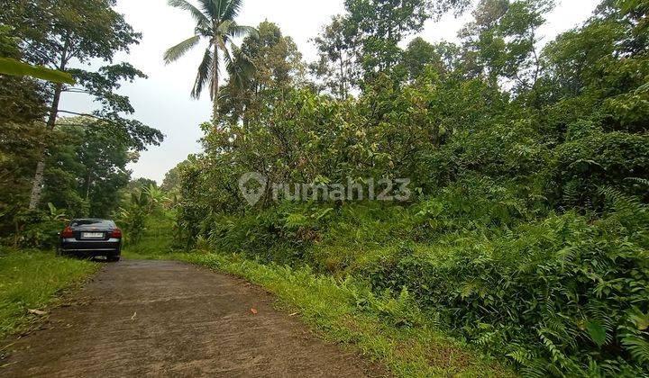 Tanah Murah Penebel Tabanan Dekat Wisata Jatiluwih 1