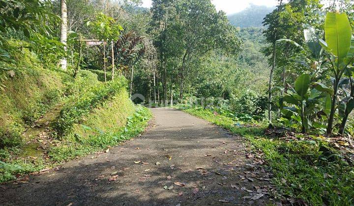 Tanah Murah Jatiluwih Dekat Wisata Waka Land Cruise Restaurant 2