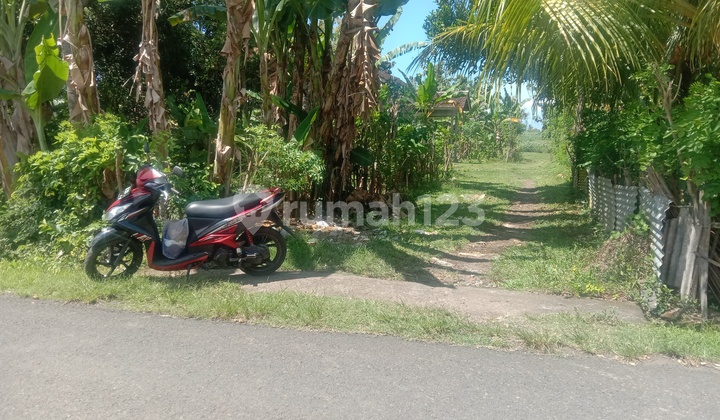 Tanah kavling di Tegalbadeng SHM 4