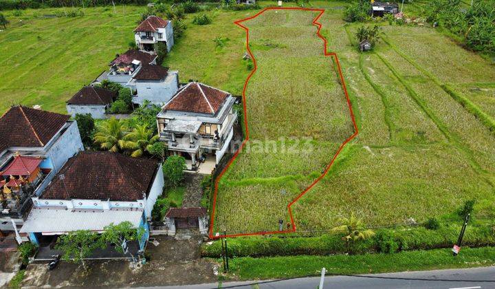 Tanah Gianyar SHM dekat Ubud view sawah cantik
 1