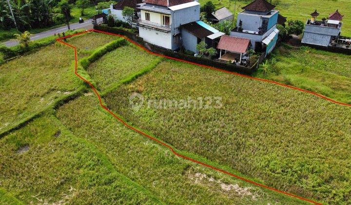 Tanah Gianyar SHM dekat Ubud view sawah cantik
 2