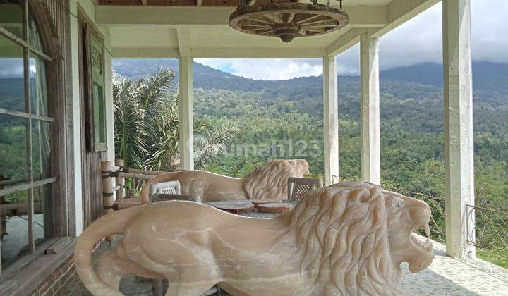 Villa Jatiluwih view Gunung dan sawah cantik 2