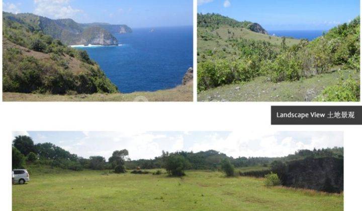 Tanah Nusa Penida 14300 m² SHM Los Tebing  1