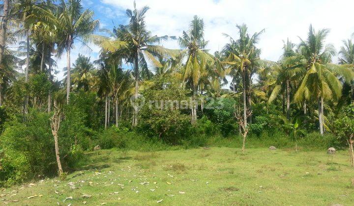 Cheap land in Buleleng in Sanggalangit 5700 m² SHM 1