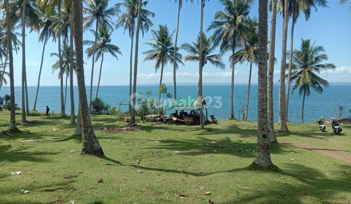 Land on Cupel Beach 21650 m² beachfront  1