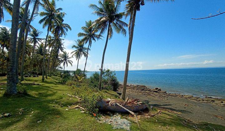 Tanah di Pantai Cupel  21650 m² beachfront  2