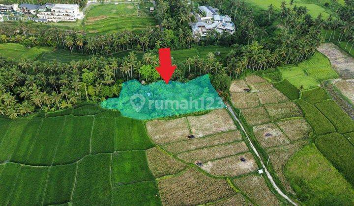 Ubud land in Lodtunduh 4018 m² 2