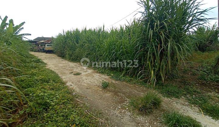 Tanah murah di Sanur Padanggalak SHM 1