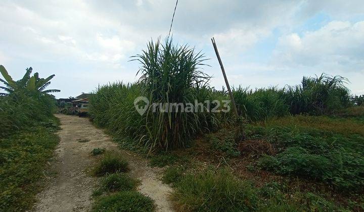 Tanah murah di Sanur Padanggalak SHM 2