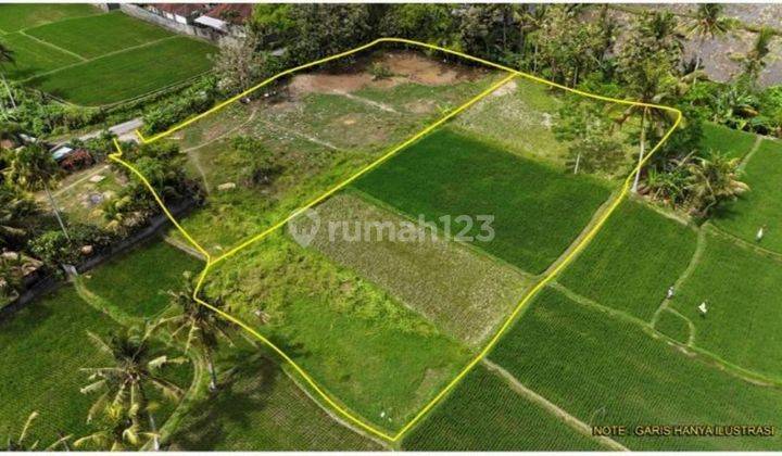 Cheap Ubud Land in Kemenuh 4200 m² 1