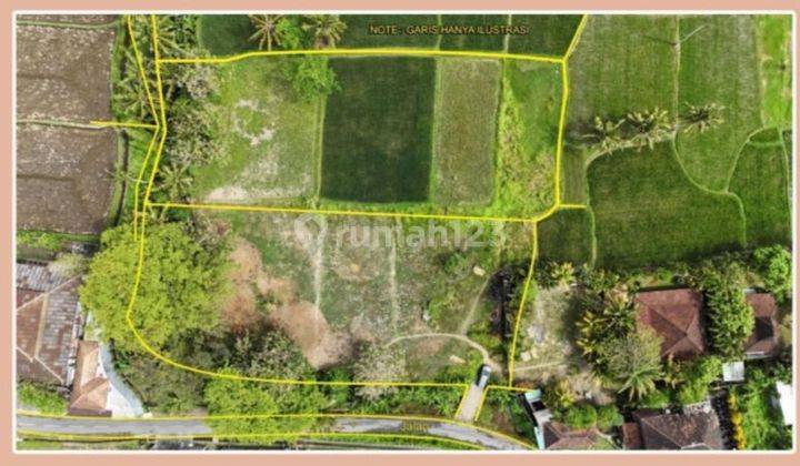 Cheap Ubud Land in Kemenuh 4200 m² 2