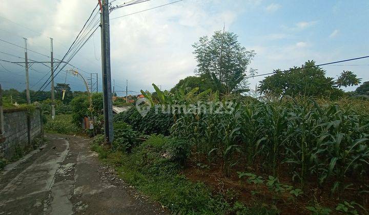 Land for rent in Padanggalak 300 m2 2